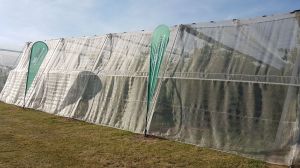 Insectennet 40 mesh wit 1,2m (B) 1,2m