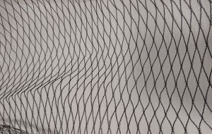 Custom bird net mesh size 28mm x 28mm 
