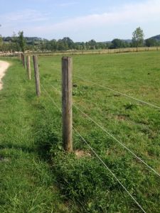 Bayco Horse Fencing 857XW 4,0mm Spool Wit 9kg