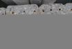 Afbeelding FSH100389-2.JPG