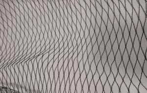 Custom bird net mesh size 15mm x 15mm