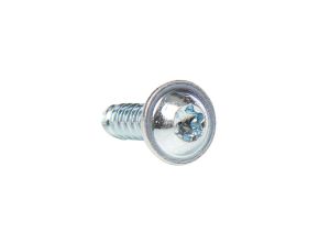 Delta PT Screw 6x25