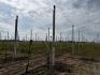 Double post clamp galv.