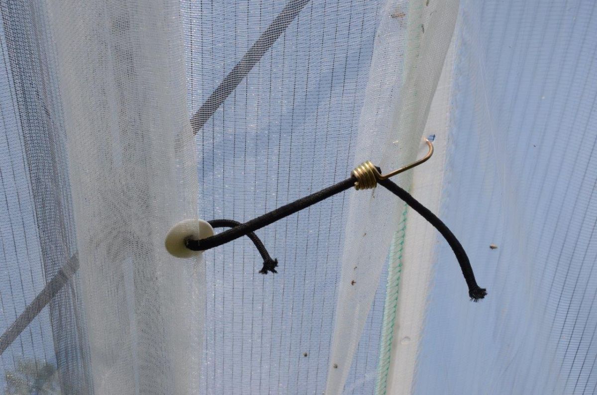 plasticized iron hook for elastic rope 8mm