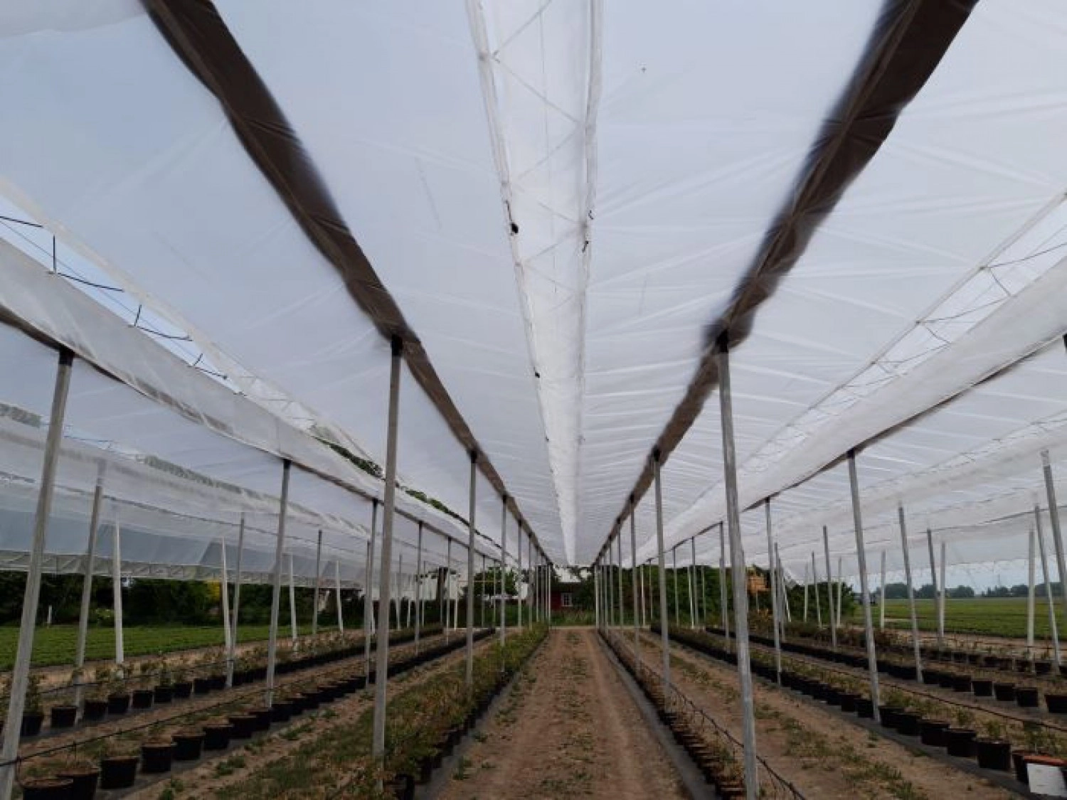 Results temperature measurements Powerflex