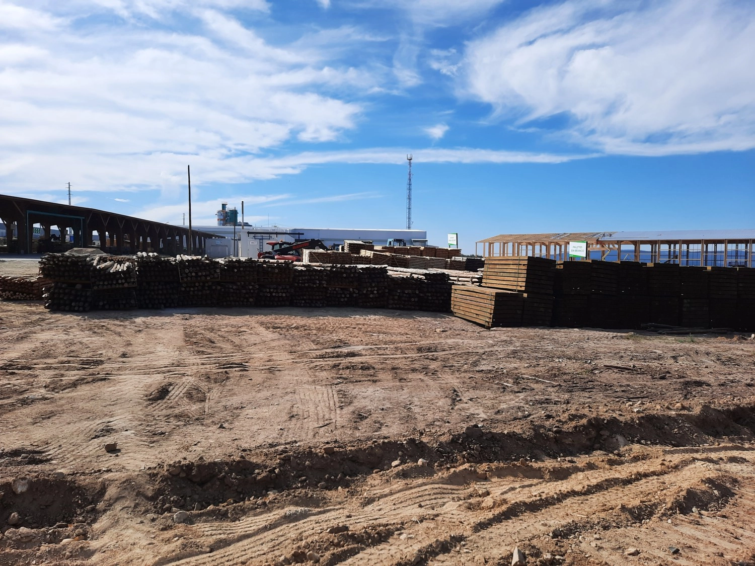 The story of Carmo poles (Drying 3/6)