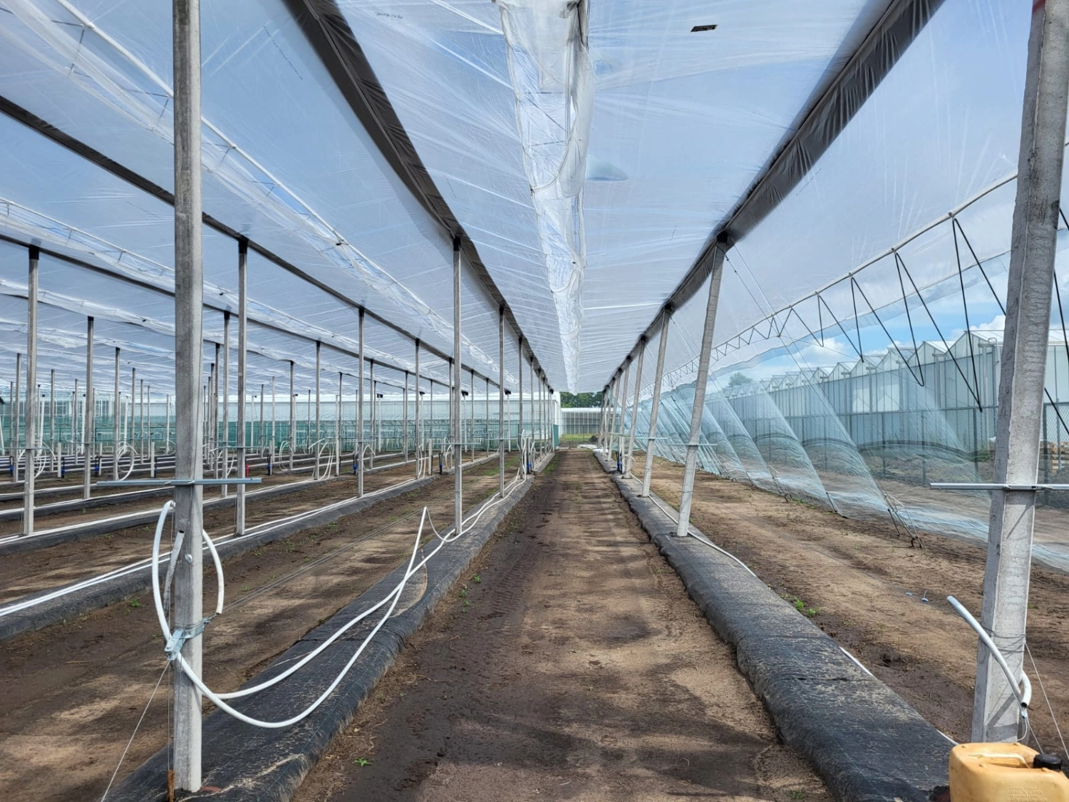 Roldek of PowerFlex? 