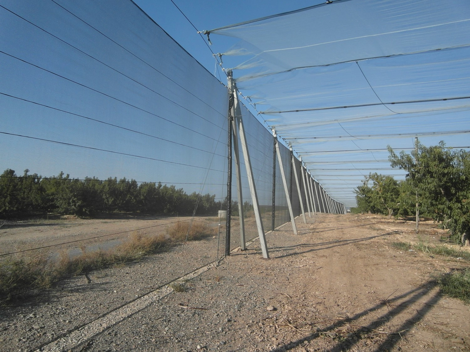 What is important when buying a windbreak system? 