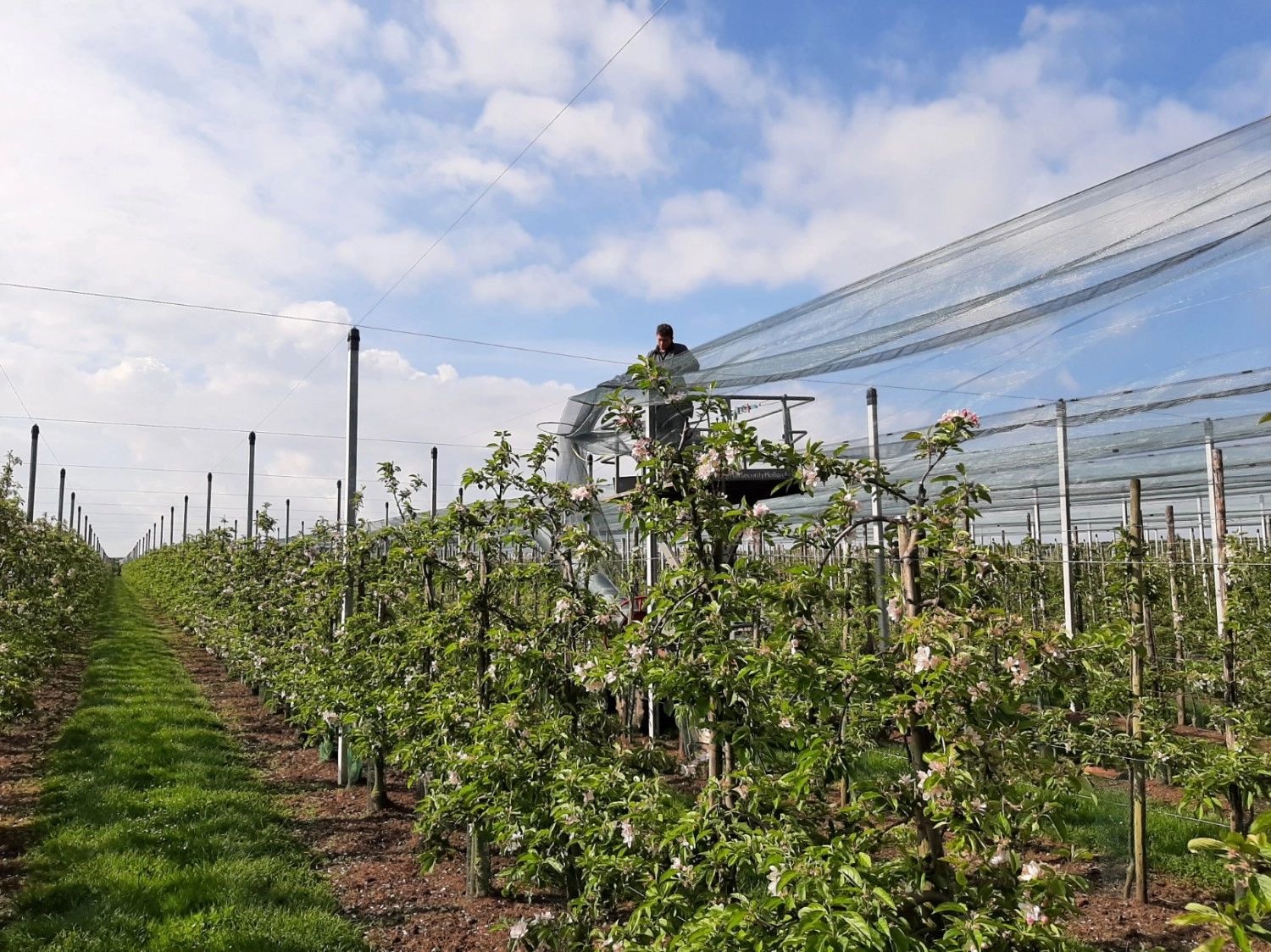 Montage van een overkapping