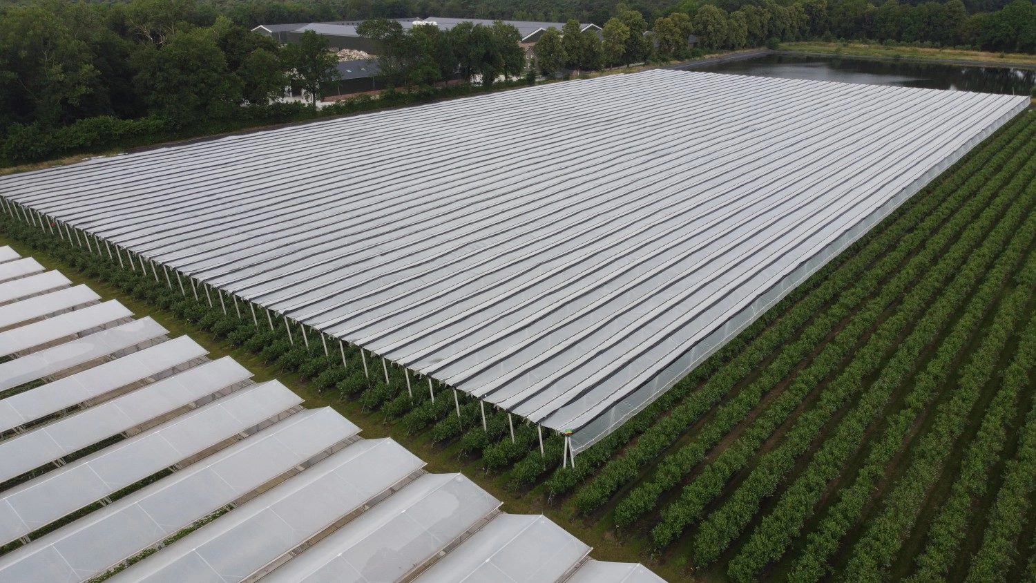 Was kostet eine Folienüberdachung?