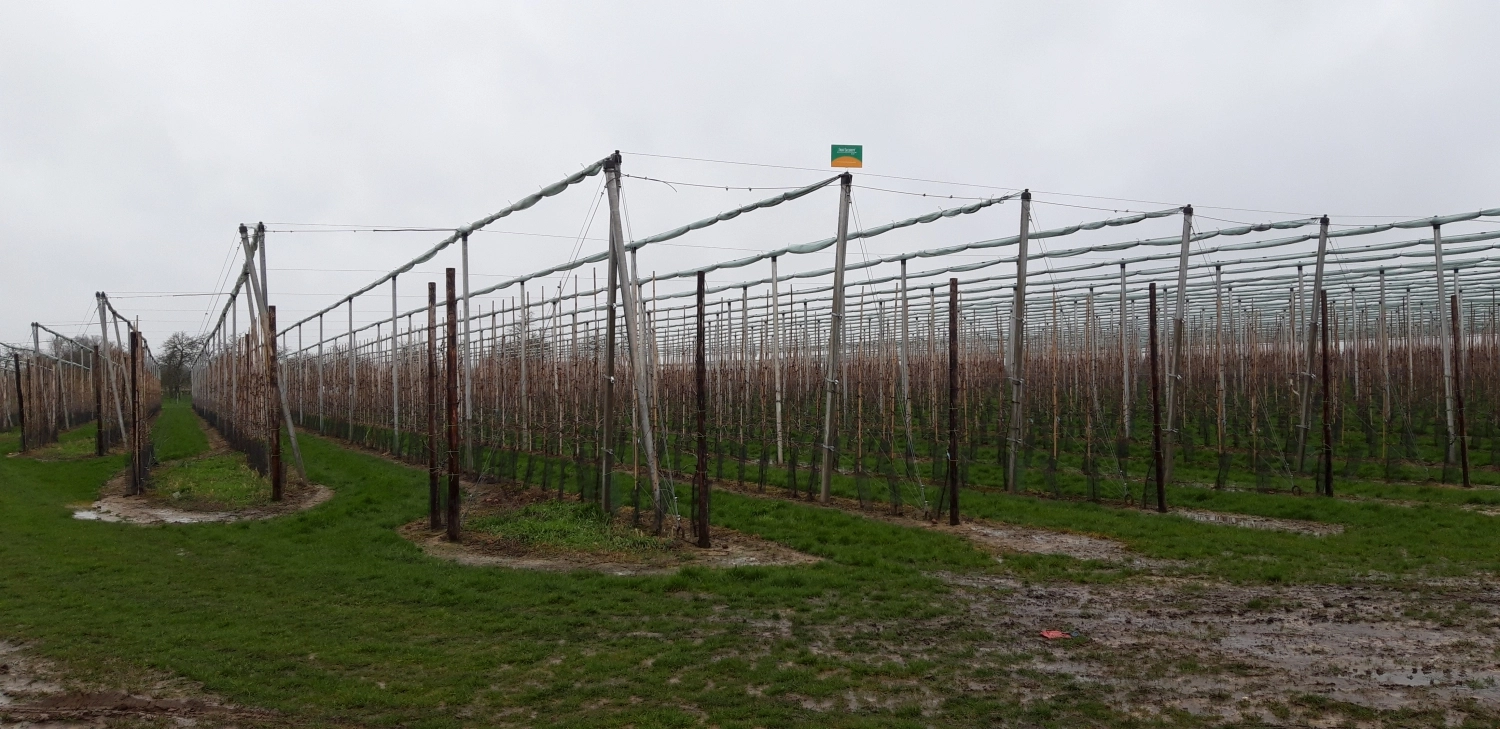 Alles wat je moet weten over het oprollen en uitrollen van een fruitoverkapping