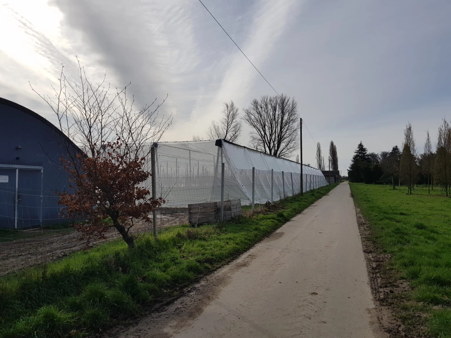 Kann meiner Obstgarten mit einer Folie oder einem Hagelnetz überdacht werden?