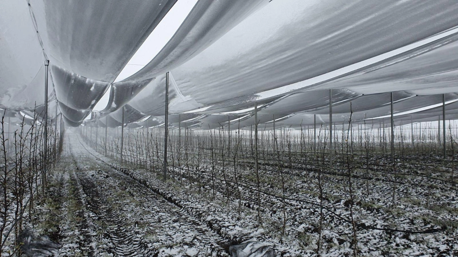 Überdachungen und Schnee