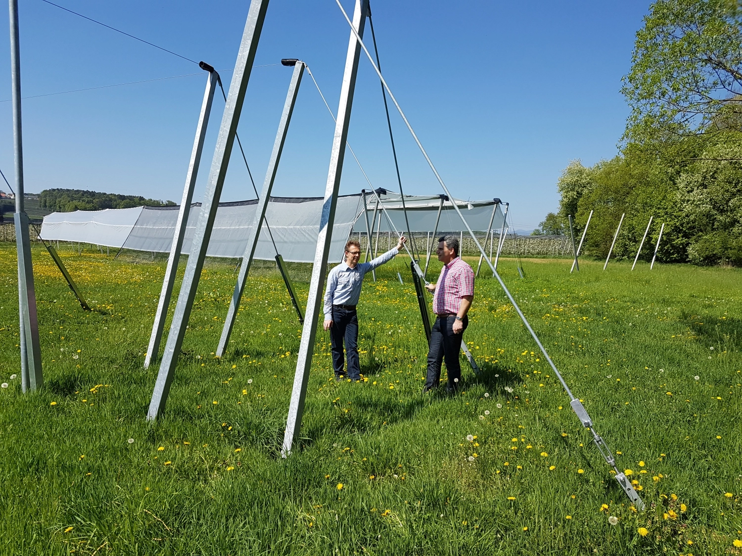 Does soil type matter when choosing anchors for hail nets and rain caps?
