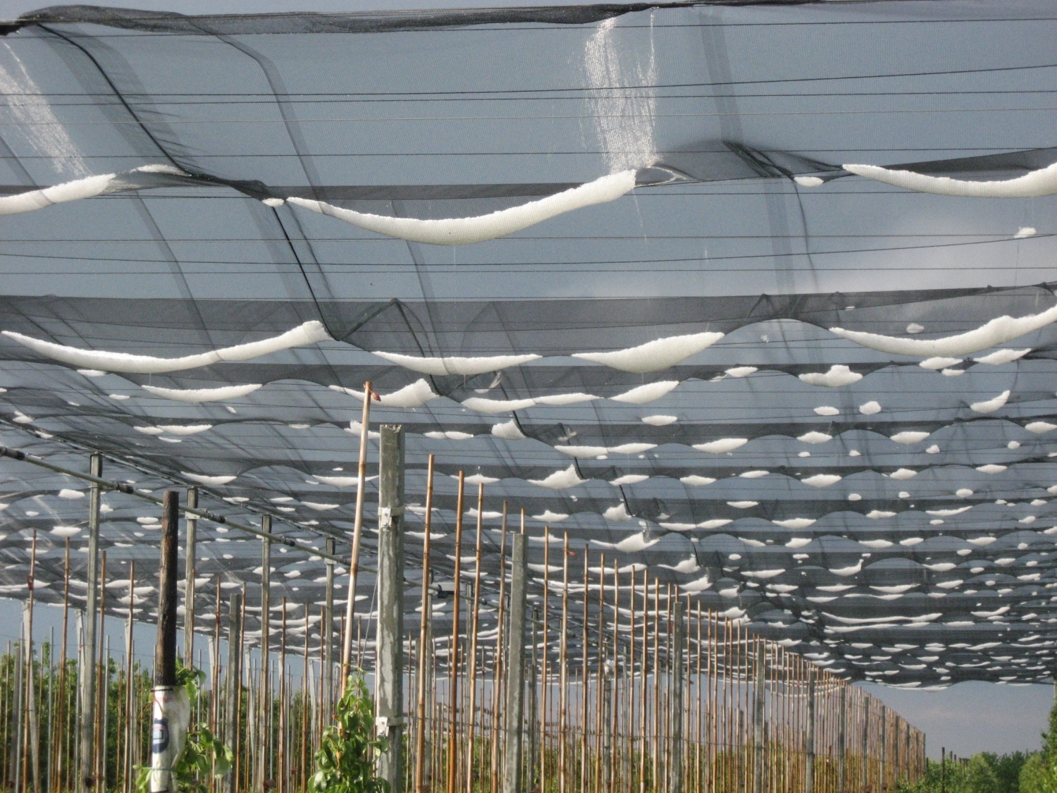 When anti-hail systems collapse or fall over, where did it go wrong?