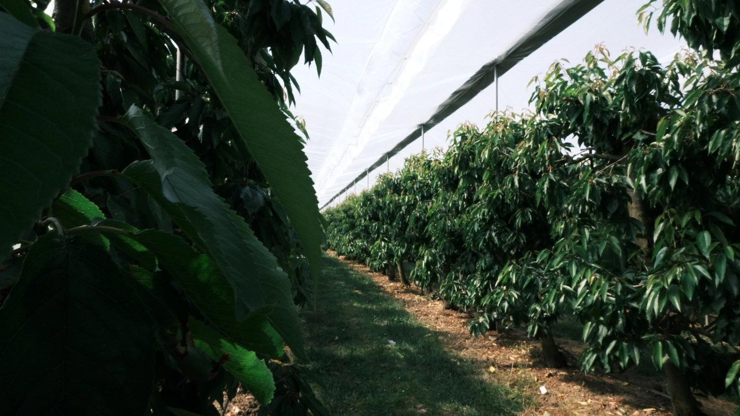 Can the PowerFlex System also be installed on other construction?