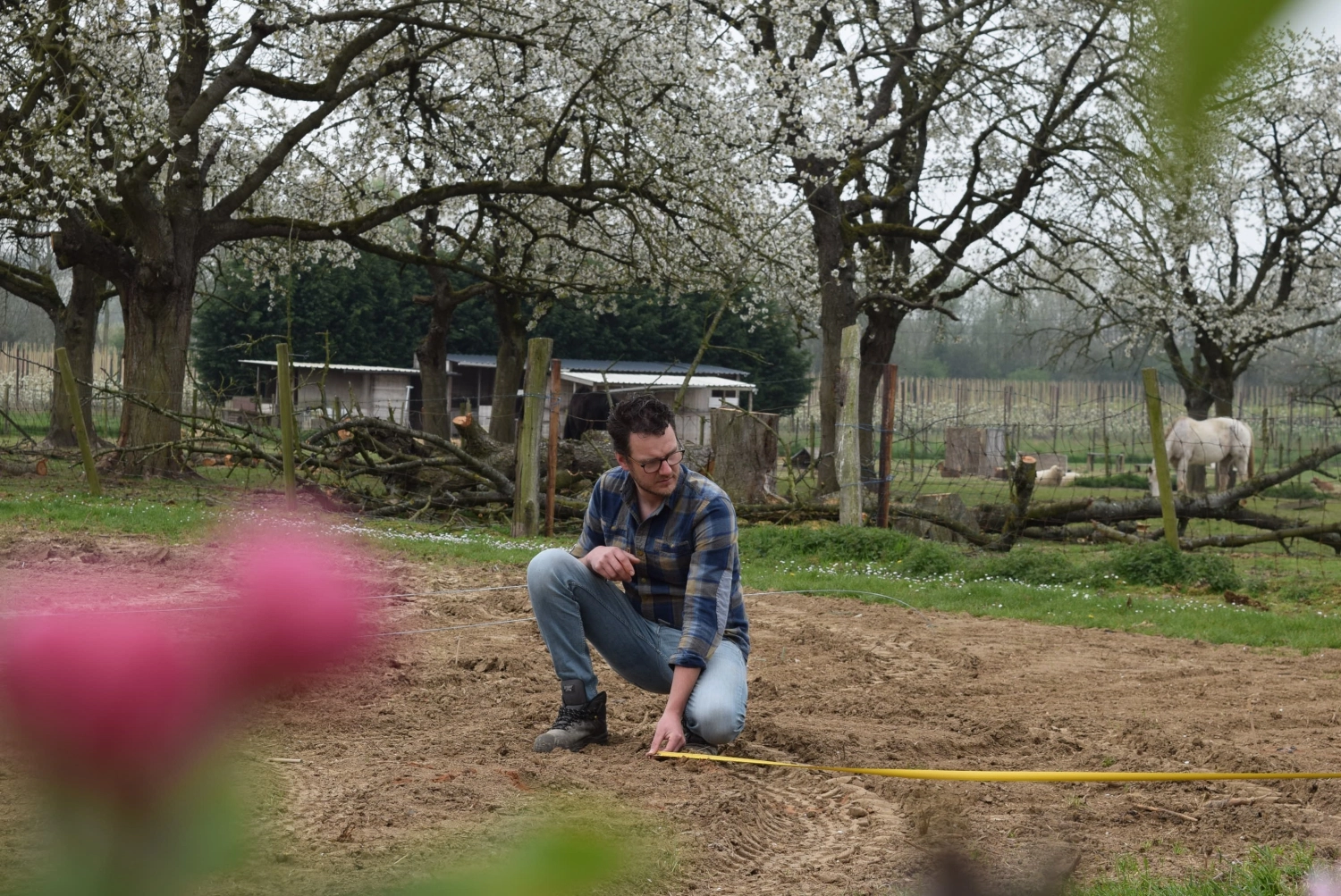 Anchor distances, post distances and more!