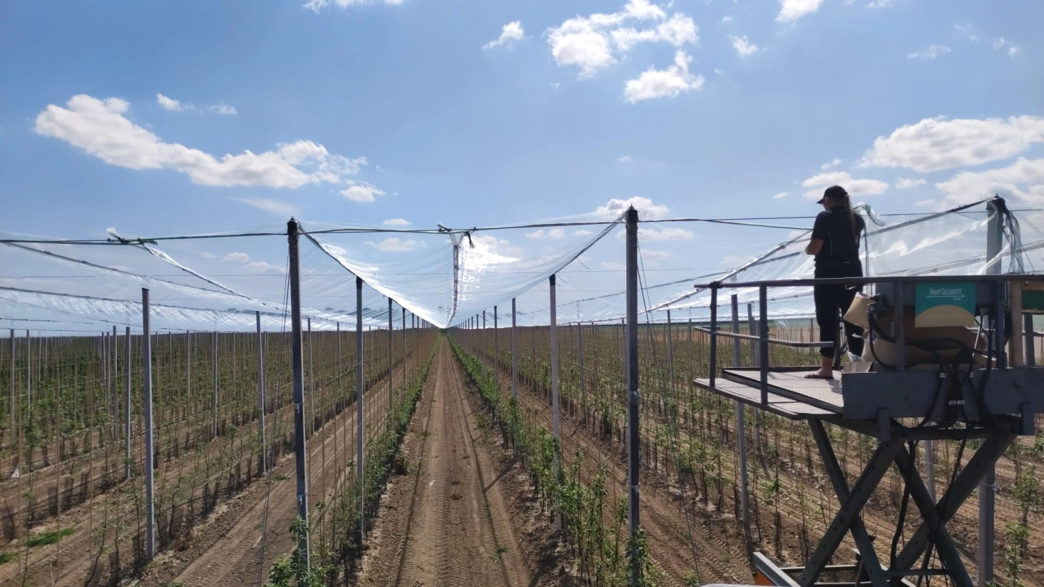 Wie baut FruitSecurity Holland eine Obstüberdachung?