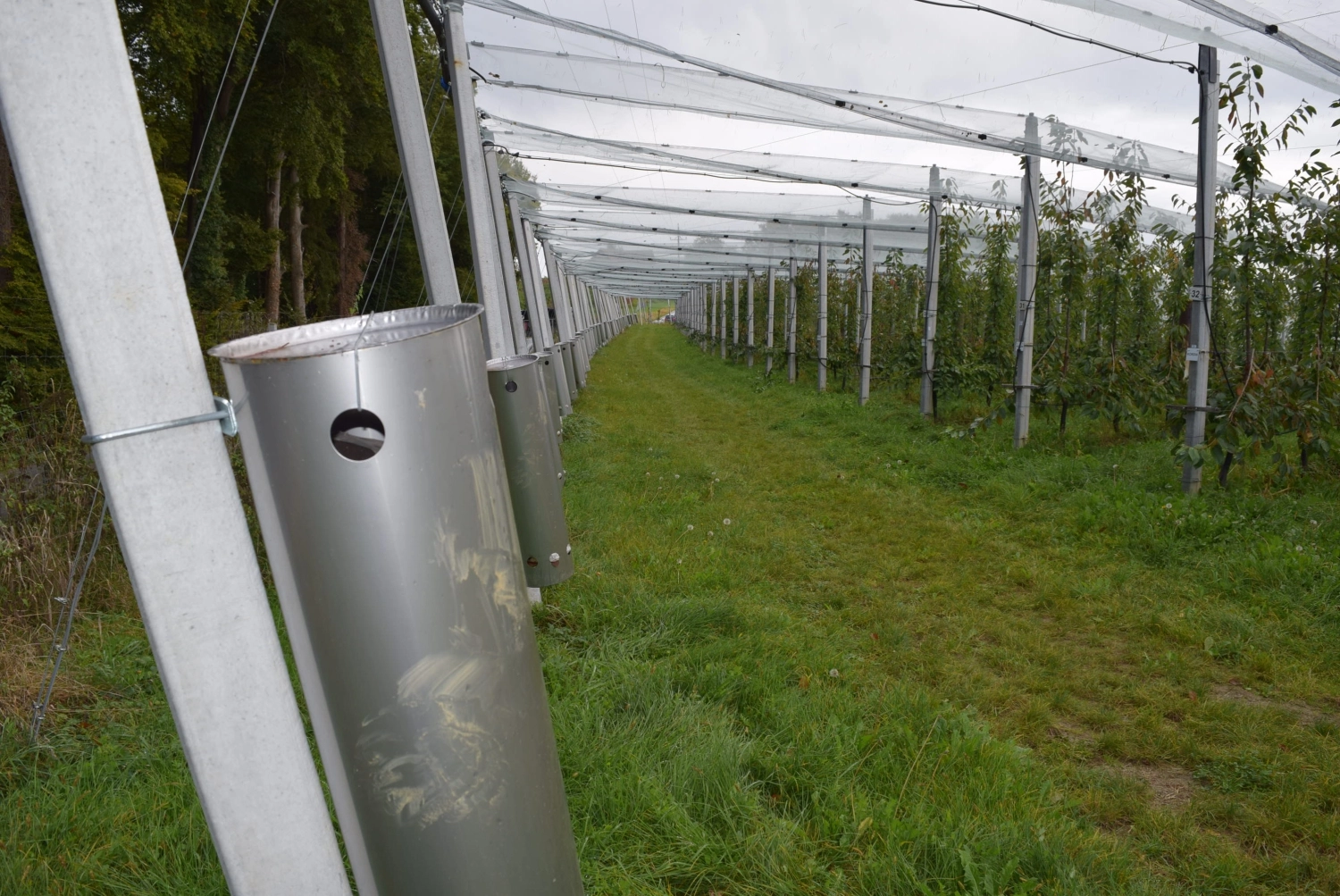 What frost protection methods exist? 
