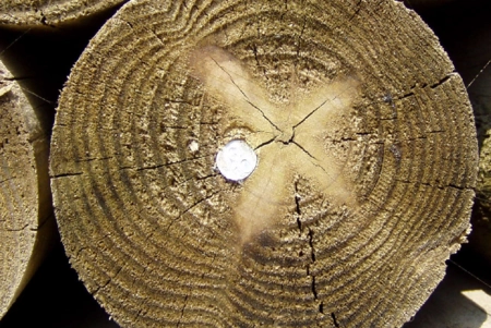 10 frequently asked questions about Carmo wooden posts