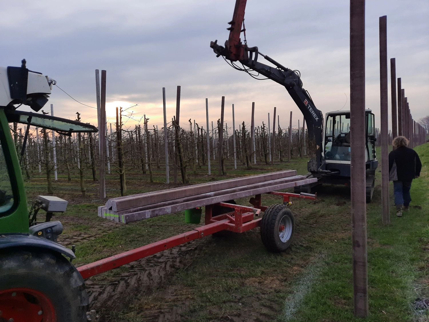 When is self-building a fruit canopy profitable?