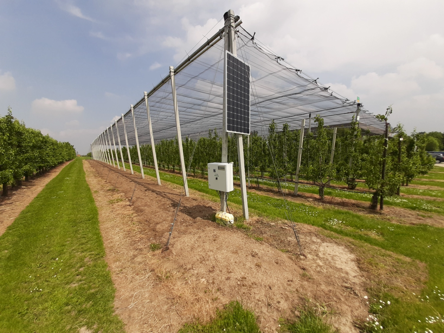 Opti-Matic: the automatic canopy system for fruit cultivation, arboriculture and outdoors