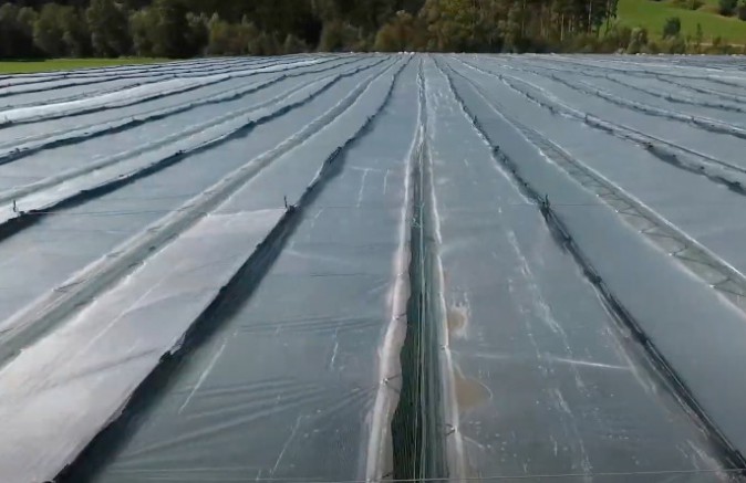 Greenhouse foil and tunnel foil