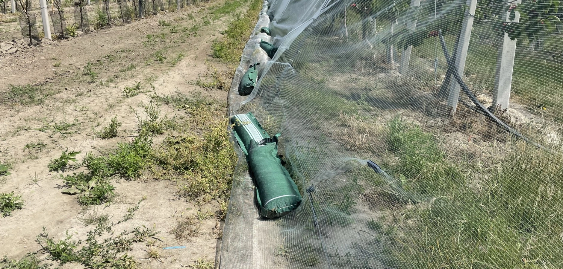 Grindslurven