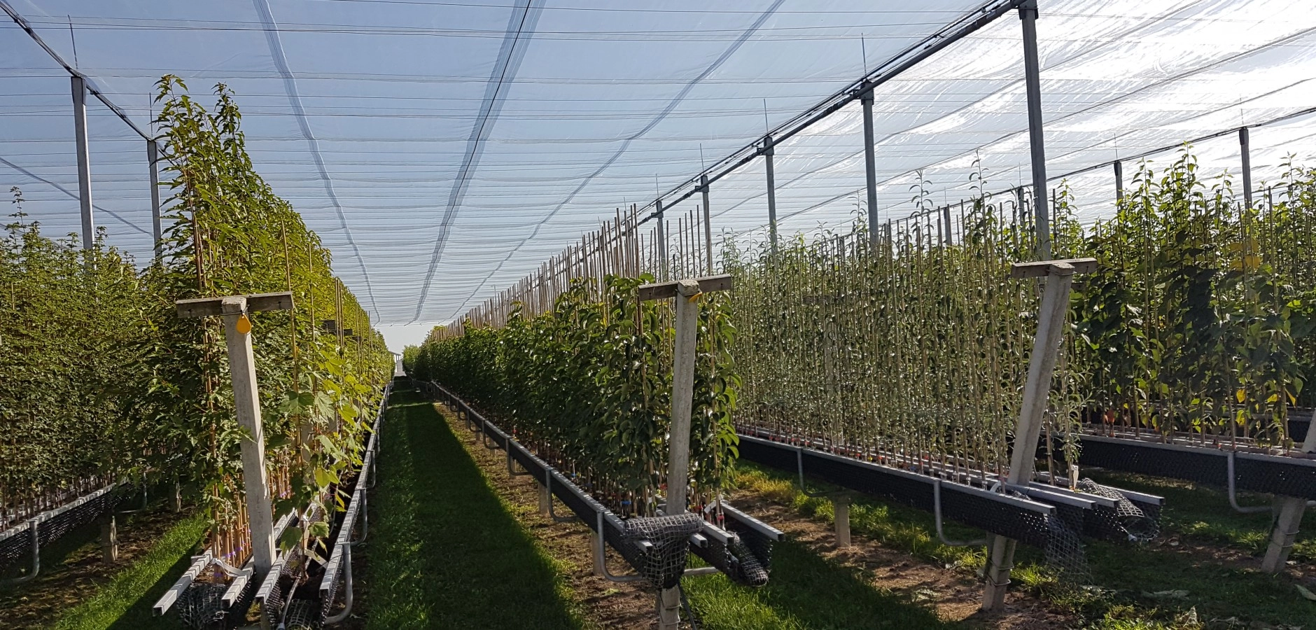 Automatisches Hagelschutzsystem