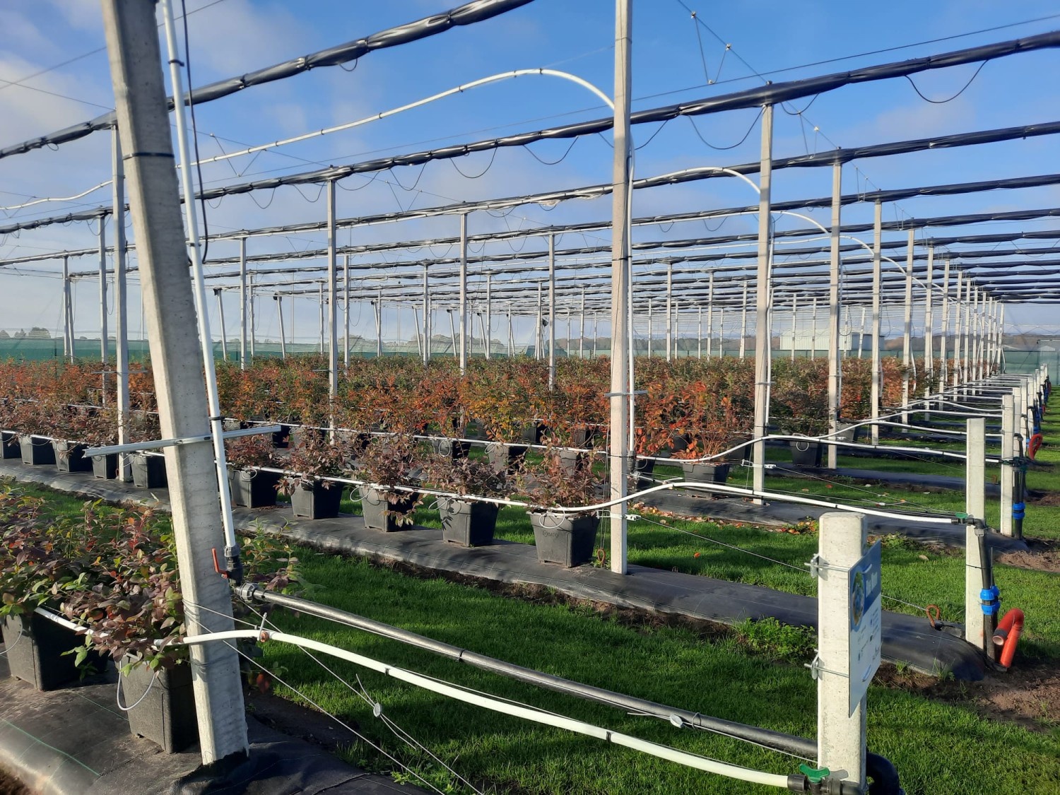 Customer Report (5): Fall Creek