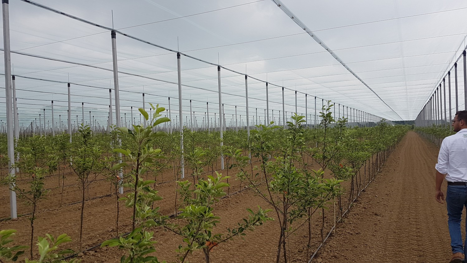 Fruittelers hebben zorgen over toekomst van hun bedrijf